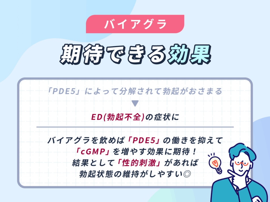 バイアグラは陰茎の血管を拡張する役割を持つ「cGMP」を増やす効果に期待